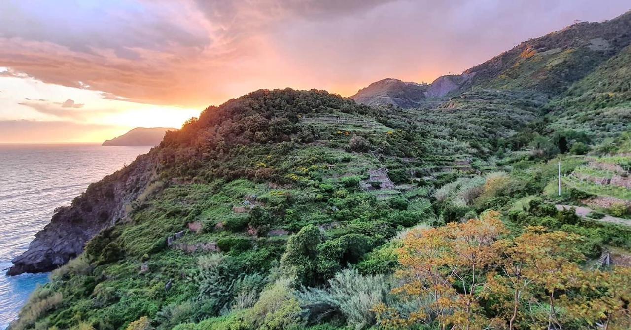 Arbanella Ξενοδοχείο Corniglia Εξωτερικό φωτογραφία