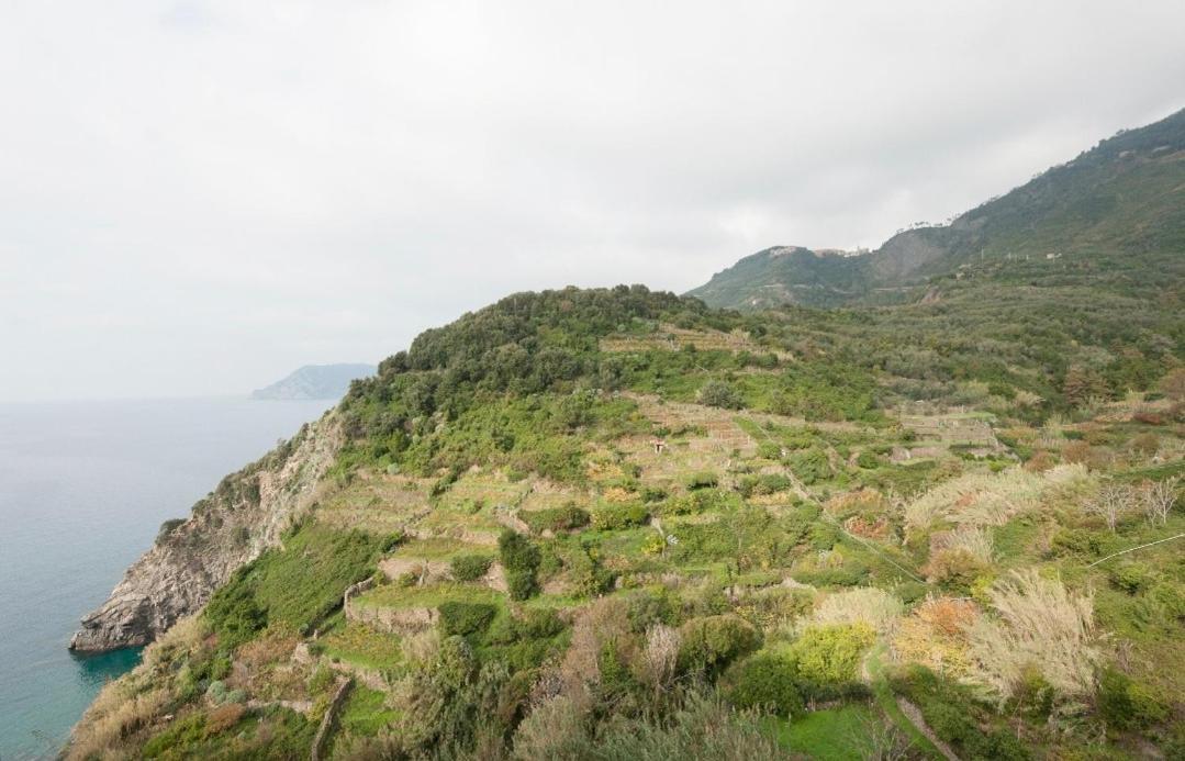 Arbanella Ξενοδοχείο Corniglia Δωμάτιο φωτογραφία
